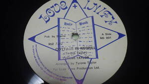 12inch org TYRONE TAYLOR COTTAGE IN NEGRIL / DON'T DESTROY ME レコード dub ダブ reggae レゲエ オリジナル盤 vg+ vintage ビンテージ