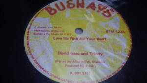 12inch LOVE ME WITH ALL YOUR HEART / DAVID ISAACS & TRINITY ex- レコード old reggae レゲエ bushays roots ラバーズ ルーツ dub