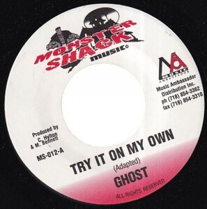 Ghost - Try It On My Own (Whitney Houston Cover) C0009