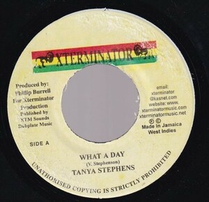 Tanya Stephens - What A Day E0451