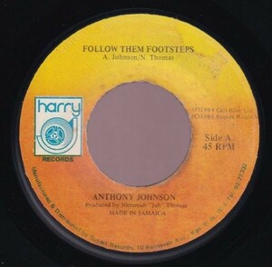 [Gun Shot Riddim] Anthony Johnson - Follow Them Footsteps B0135