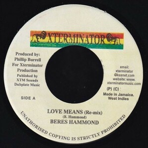 Beres Hammond - Love Means Remix H0308の画像1