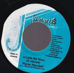 [Sarah Riddim] Wayne Marshall - A Little Bit More H0554