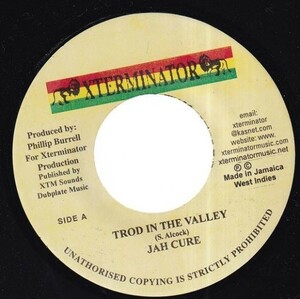 [Trod In The Valley Riddim] Jah Cure - Trod In The Valley D0393