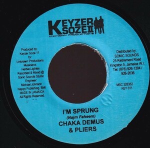 Spragga Benz & Geniene? Don't Lie / Chaka Demus & Pliers - I'm Sprung A0200