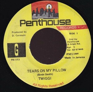 Twiggy - Tears On My Pillow (Cover) A0277