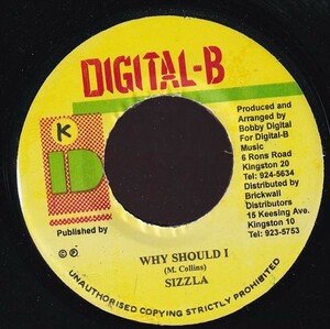 [Java Riddim] Sizzla - Why Should I A0119