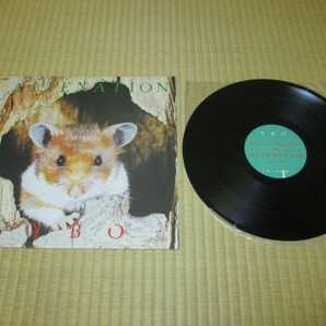 YBO2 イボイボ ALIENATION LP トランスレコード TRANS RECORDS ワイビーオーツー 北村昌士 吉田達也 岸野一之 フールズメイト FOOL'S MATEの画像2