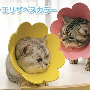 エリザベスカラー 猫用 犬用 ソフト 着脱便利 傷舐め防止 引っ掻き防止 去勢