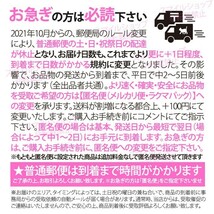 iPhone用 ライトニングケーブル イヤホンジャック 変換アダプター 3.5mm丸型プラグ端子 アップルApple製品用 アイフォーン 人気商品 ２本_画像9