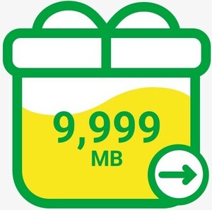 マイネオ mineo パケットギフト9999MB