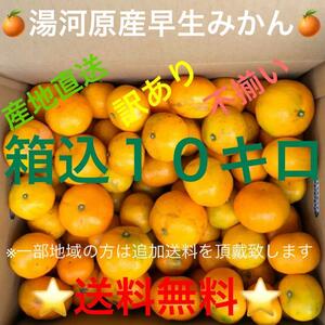 全国どこでも送料無料★神奈川県湯河原産早生みかん訳あり不揃いミカン★箱込み10kg★A3