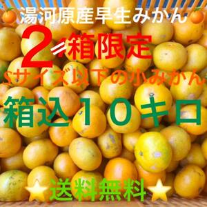 全国どこでも送料無料★神奈川県湯河原産早生みかん訳ありSサイズ以下小ミカン★箱込み10kg★C9