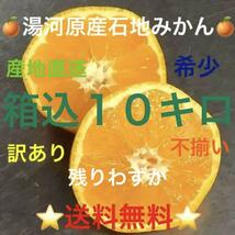 全国どこでも送料無料★訳あり★産直不揃い１０kg箱込み★神奈川県湯河原産ミカン★石地みかん★B10_画像1