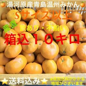 【関東・東北・信越・北陸・中部・関西にお住いの方限定】★訳あり★産直不揃い10kg神奈川県湯河原産晩生ミカン青島温州みかんB11