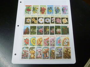 24 S 0N14nika rug a stamp 1979-85 year SC#1114-1409. inside * other plant * mushrooms each .. total 34 kind unused NH*VF