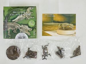 新品未開封 博物モデリング倶楽部・参 1/35 マチカネワニ骨格 1BOX 全4個入 + 公式ストア限定オリジナルカラー ブラインドボックス版 SO-TA