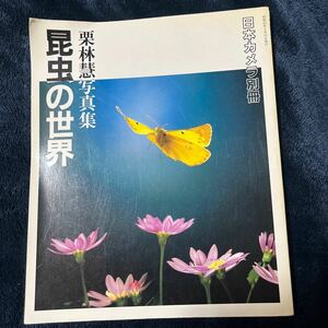 栗林彗写真集　昆虫の世界　日本カメラ別冊