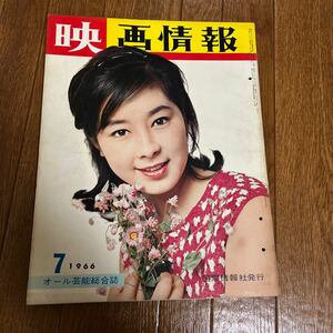 映画情報1966年7月号 安田道代 スザンヌ・プレシェット 佐久間良子 ジュディ・オング 柏木由紀子 恵とも子 可能かづ子 ロバート・ボーン