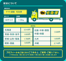 【中古】M▽山下金物 業務用 たこ焼き 明石焼き 玉子焼き 鉄板 卓上 18穴 都市ガス 天然ガス (31046)_画像7