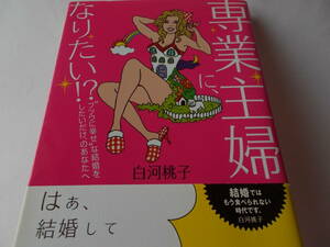 専業主婦に、なりたい☆フツウに幸せな結婚をしたいだけのあなたへ☆白河桃子：著☆送料：１85円☆