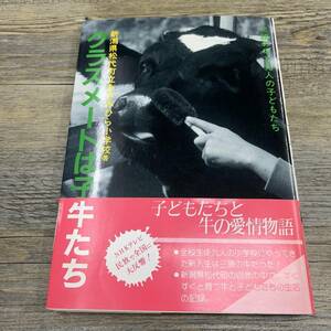 Ｚ-9463■クラスメートは子牛たち 三頭の牛と九人の子どもたち■帯付き■新潟県松代町立莇平小学校■1989年1月13日初版