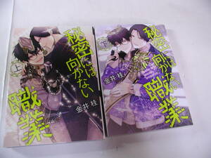 金井桂■秘密には向かない職業■上下■２冊セット■■