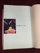 g_t N635 ★新山千春 写真集『一春』★撮影:小沢忠恭★ワニブックス★帯なし★1997年7月15日初版発行★長期保管現状品★_画像2