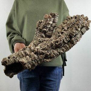 【C2918】最高品質！特大サイズ！ コルク樹皮 エアプランツ チランジア コウモリラン ビカクシダ 洋蘭 爬虫類 コルク