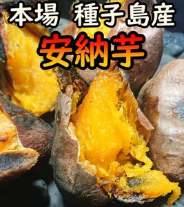 【K-GAP取得】完熟！ねっとり！安納芋紅プチサイズ　10キロ【本場種子島産】