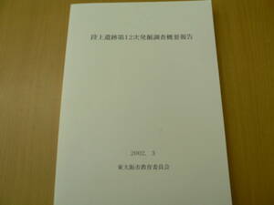 段上遺跡第12次発掘調査概要報告　2002年　東大阪市　　東大阪市　　P