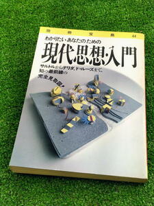 T 【FULL本】 古本　現在思想入門　わかりたいあなたのための　サルトルからデリダ、ドゥルーズまで　編集 黒須田守 佐藤亜紀子　洋泉社