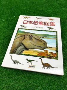 T [FULLbook@] secondhand book Japan dinosaur illustrated reference book child from ... till writing *.hisaknihiko rock cape bookstore 