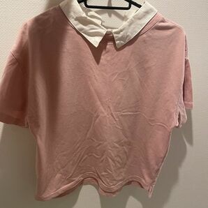 シャツ 半袖 カットソー コットン Tシャツ ホワイト　ピンク　ブラウス　オフィス　カジュアル