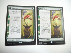 E211【MTG】麒麟の教え 2枚セット