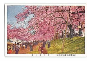 XyE4138●埼玉 熊谷堤の桜 *傷み有り【絵葉書】