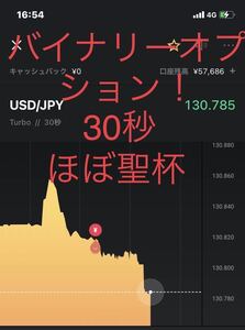 当日発送【チャート2画面手法】バイナリー30秒手法！勝率80〜90%！ハイローチャートを見てエントリー！バイナリーオプション！早い者勝ち！