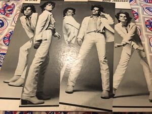 David Johansen★中古LP国内見本盤「デヴィッド・ヨハンセン～イン・スタイル」