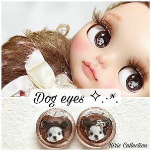 * Kiriko * 437 Dog Bryce Eye Chip Custom