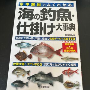 水中解説でよくわかる海の釣魚・仕掛け大事典 （水中解説でよくわかる） 豊田和弘／著