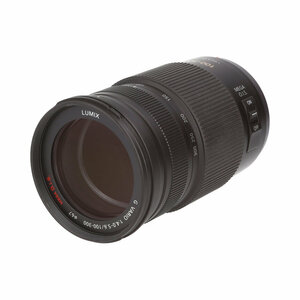 Panasonic LUMIX G VARIO 100-300mm F4-5.6 MEGA O.I.S 【AB】