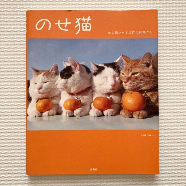 のせ猫 かご猫シロと3匹の仲間たち SHIRONEKO著 書籍 写真集