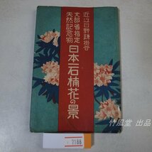 7188【絵葉書】近江日野鎌掛谷 日本一石楠花の景 7枚袋_画像1