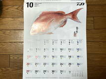 ★☆２０２４　ダイワ魚拓カレンダー　♪新品♪☆★_画像3