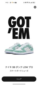 未使用 APRIL SKATEBOARDS × Nike SB Dunk Low Pro QS 27.5cm SNKRS当選品