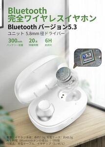 bluetooth5.3 イヤホン】 bluetooth5.3 ワイヤレスイヤホン 小型/軽量 イヤホン Bluetooth HiFi ブルートゥース AAC対応