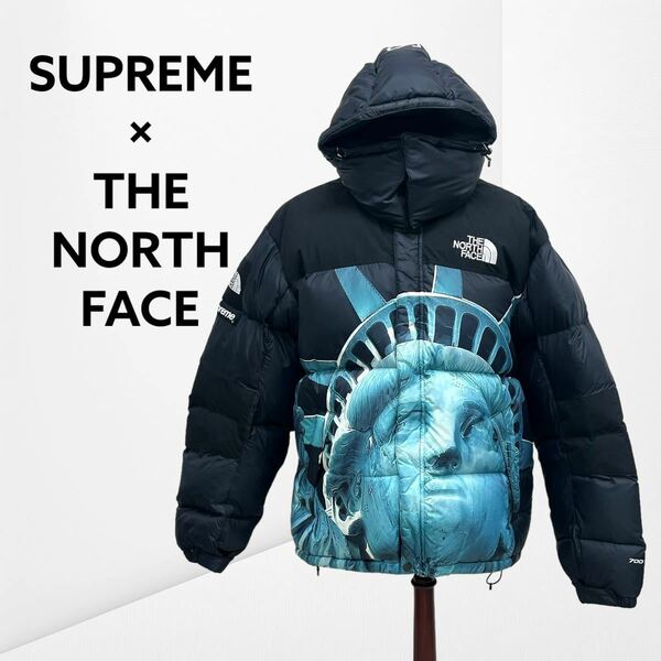Supreme 19AW The North Face Statue of Liberty Baltoro Jacket シュプリーム ノースフェイス 自由の女神 バルトロ ダウンジャケット M