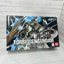 【05】機動戦士ガンダムSEED HG 1/144 GAT-X252 フォビドゥンガンダム 未組立品 バンダイ 保管品_画像1