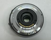 Panasonic パナソニック LUMIX DMC-GX1 ミラーレス一眼 / LUMIX G VARIO 1:3.5-5.6/14-42 ASPH.【MS106】_画像8