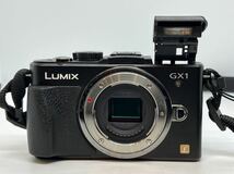 Panasonic パナソニック LUMIX DMC-GX1 ミラーレス一眼 / LUMIX G VARIO 1:3.5-5.6/14-42 ASPH.【MS106】_画像3